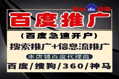 推广竞价策略解析：成功案例分享